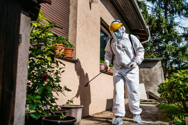 Best Pest Control Near Me  in Parkway, CA